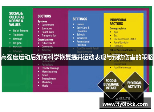 高强度运动后如何科学恢复提升运动表现与预防伤害的策略