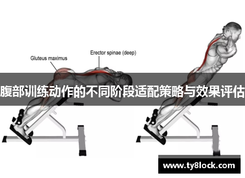 腹部训练动作的不同阶段适配策略与效果评估